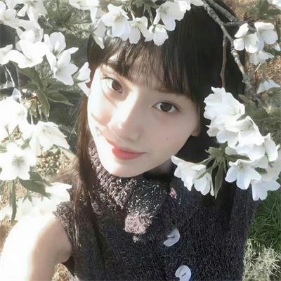 九色鹿王·前尘